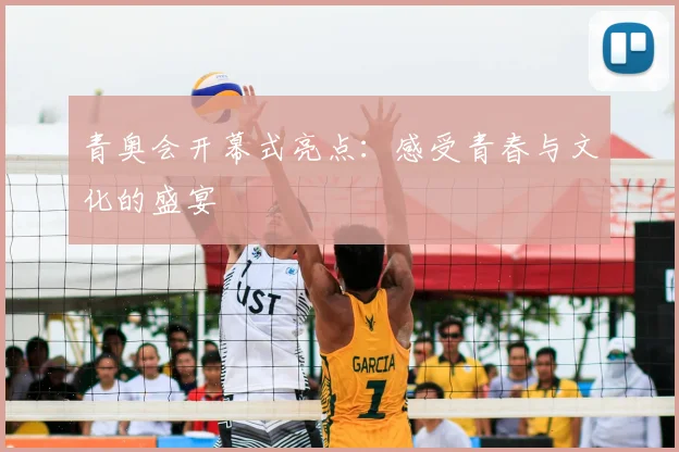 青奥会开幕式亮点：感受青春与文化的盛宴